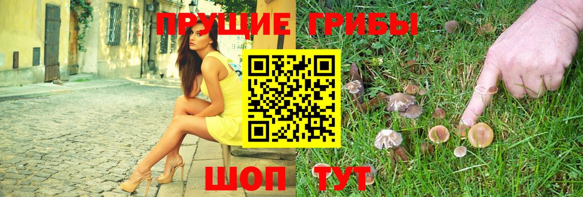 Псилоцибиновые грибы Psilocybe  Вход с VPN  Светлоград 